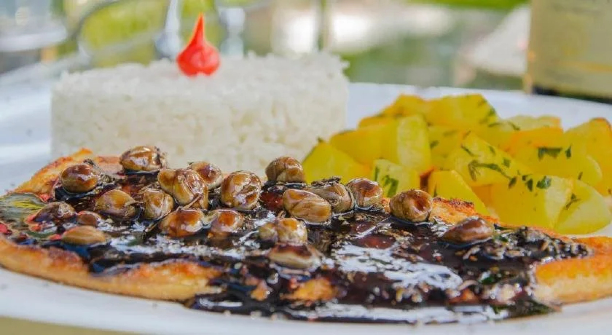 Pousada Refúgio das Aves