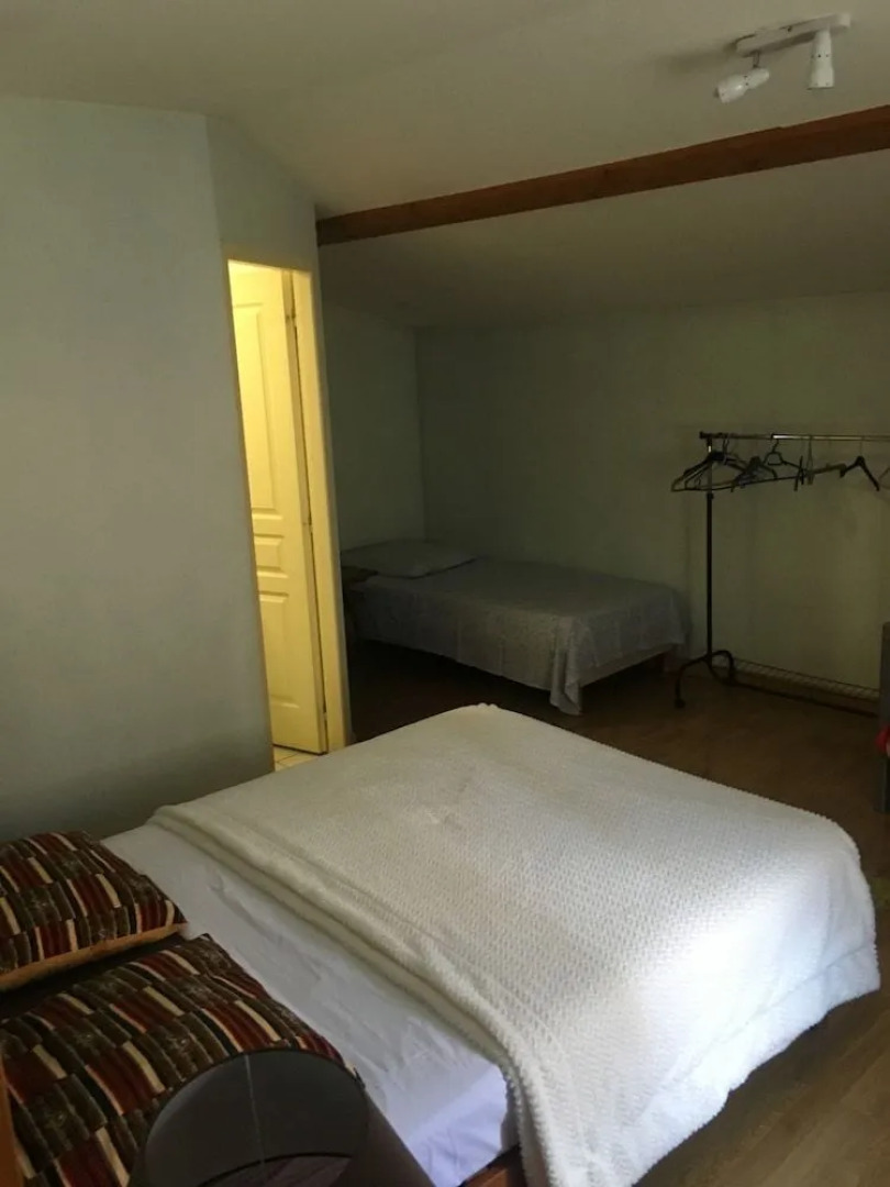 Le Palmyre Soleil de l'Amazonie