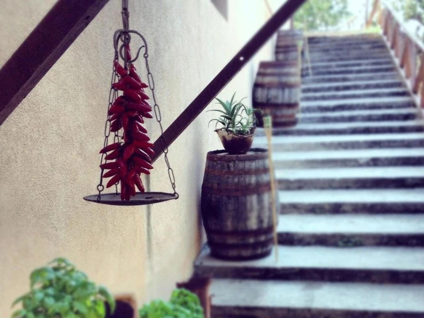 Agriturismo A Lanterna