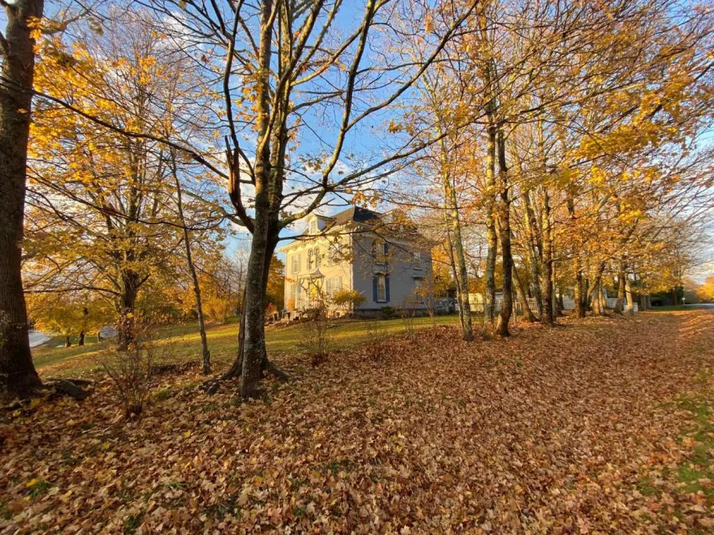 The Montague Rose Inn