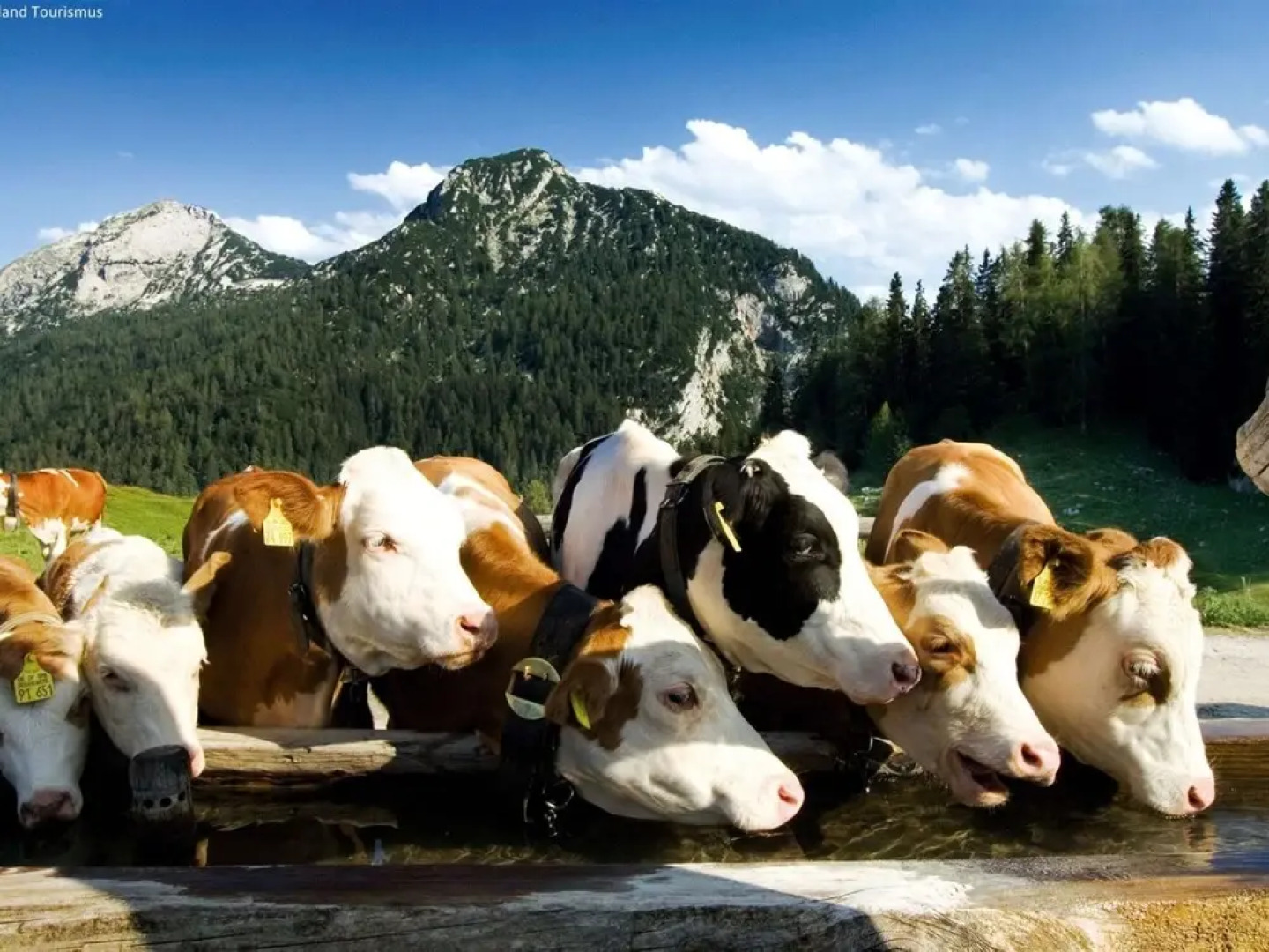 Scenic Apartment in Neukirchen am Großvenediger near Ski Area