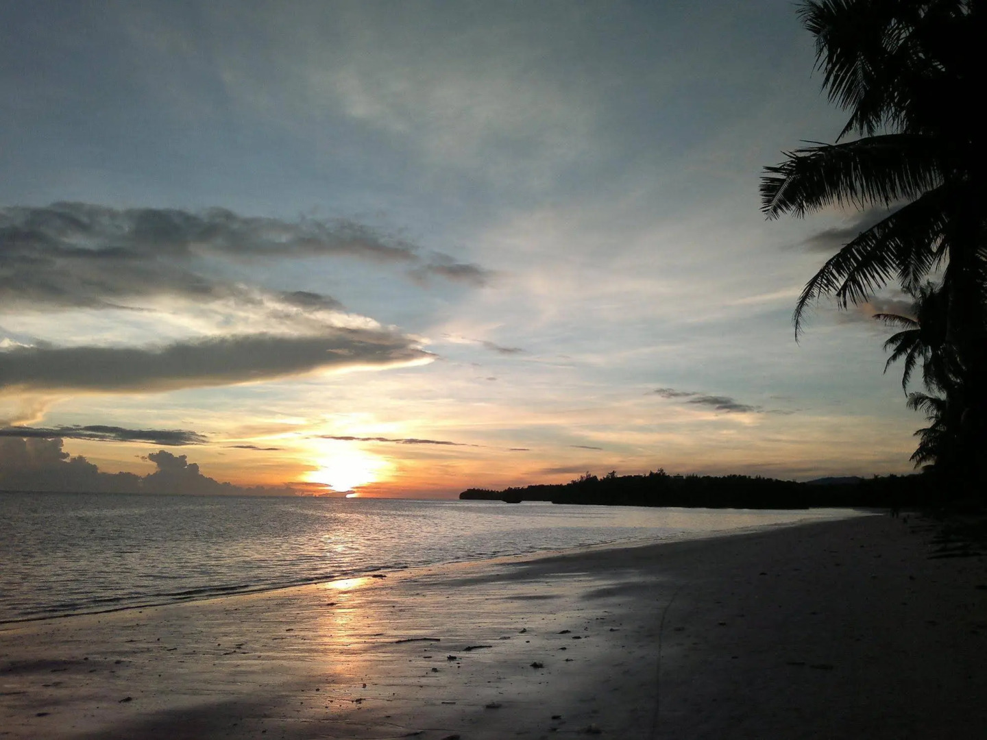 The Lazy Dog Bed & Breakfast