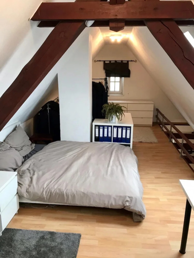 Charming 1-bed Loft Apartment in Schwandorf