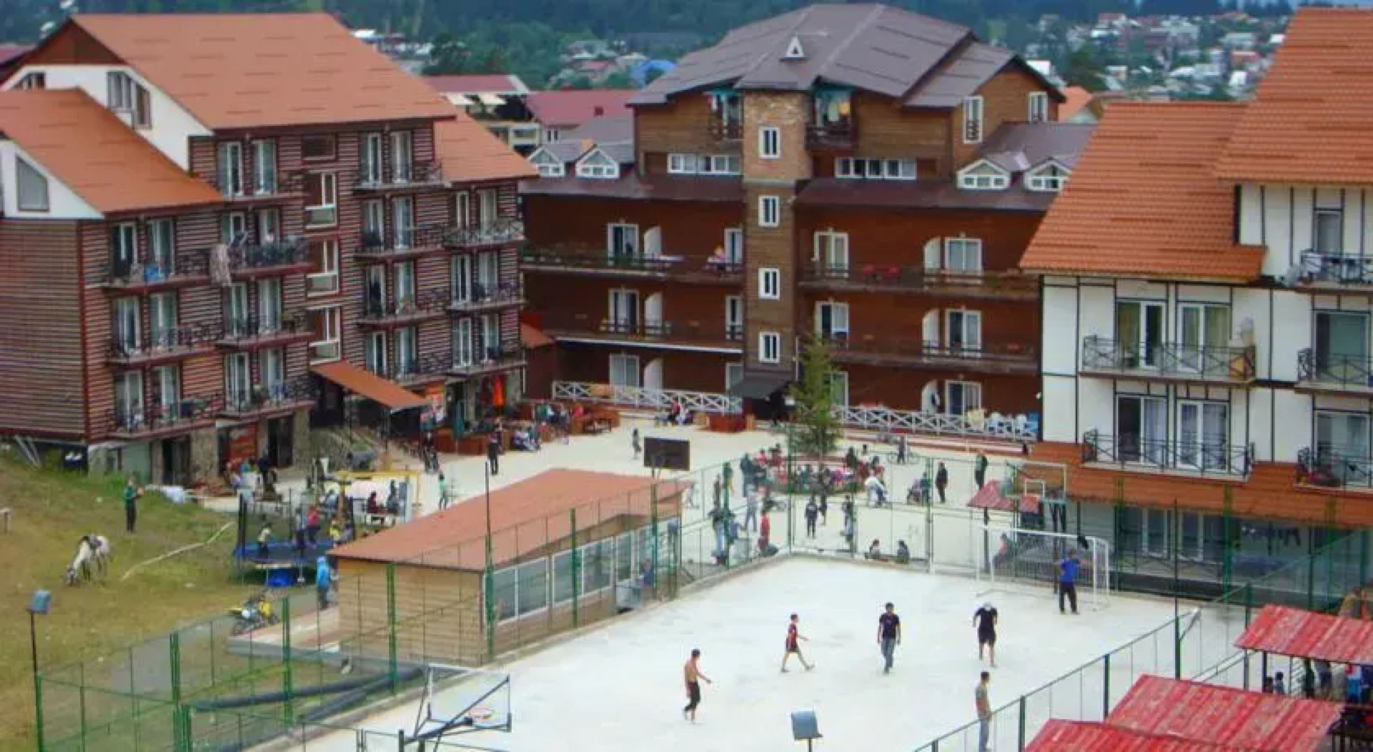 Tea`s Apartment in Mgzavrebi