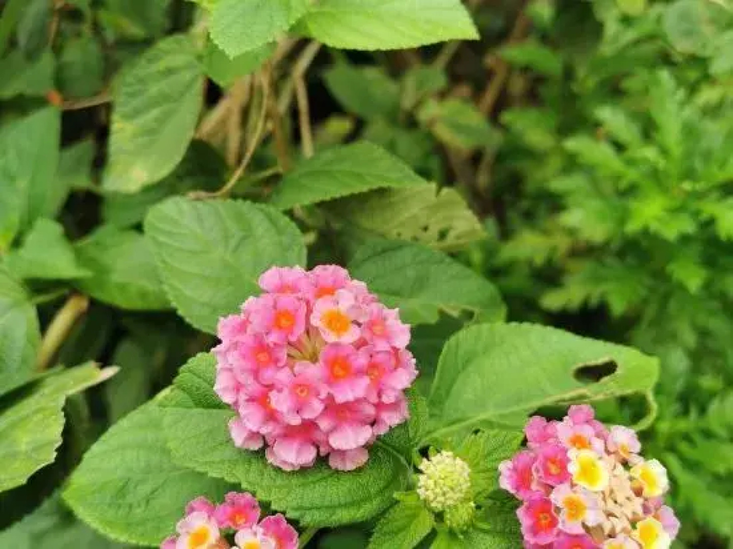 Yihai blue sky apartment (Lingshui Coral Sea store)