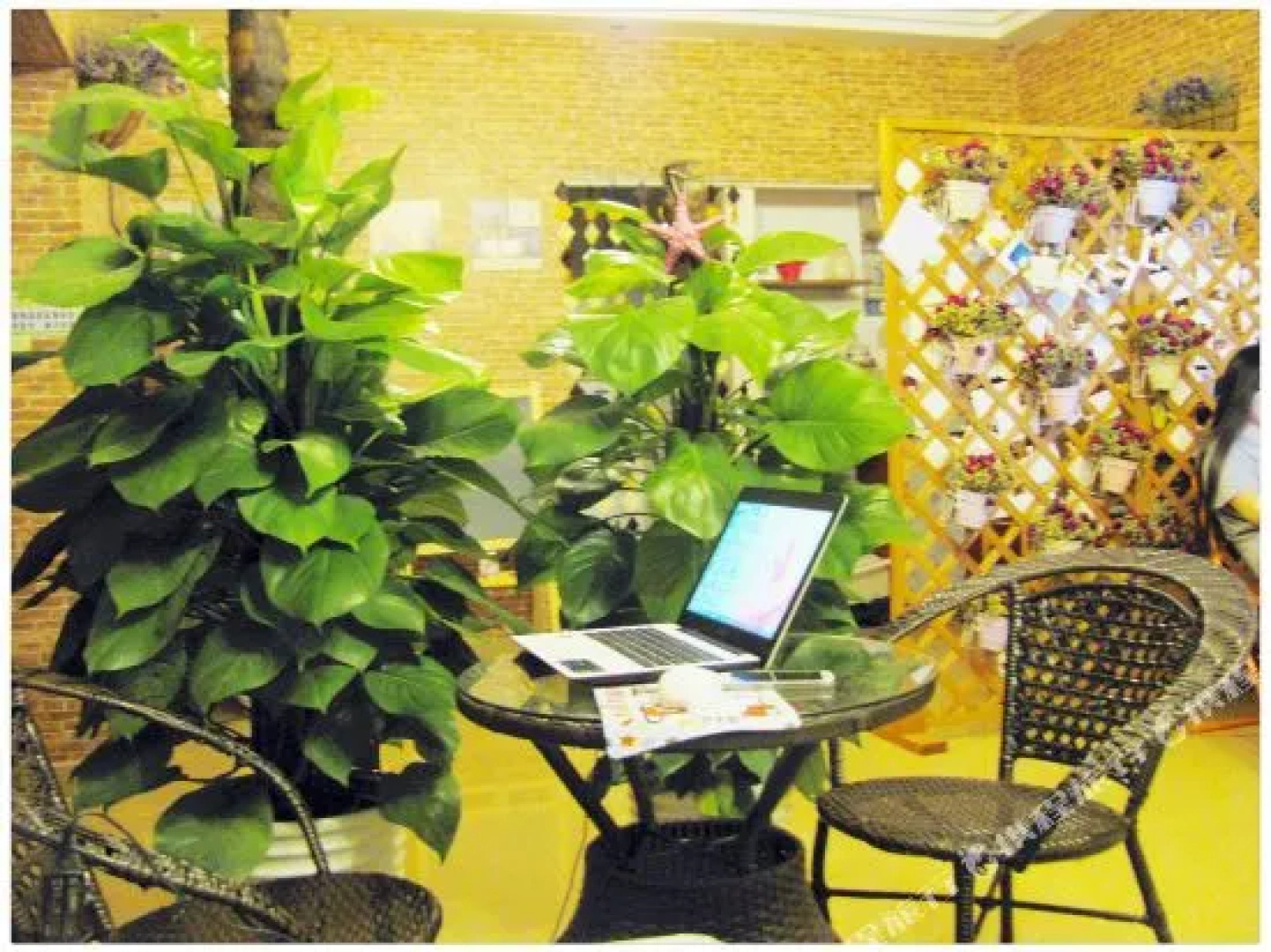 Bali International Youth Hostel