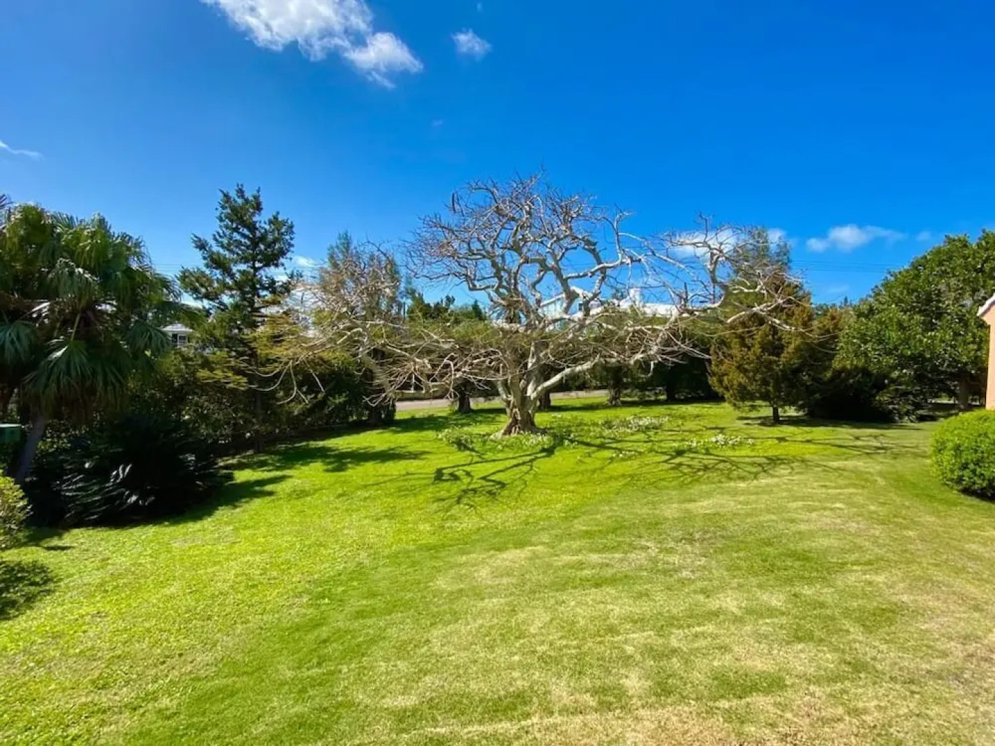 Greensleaves Guest House