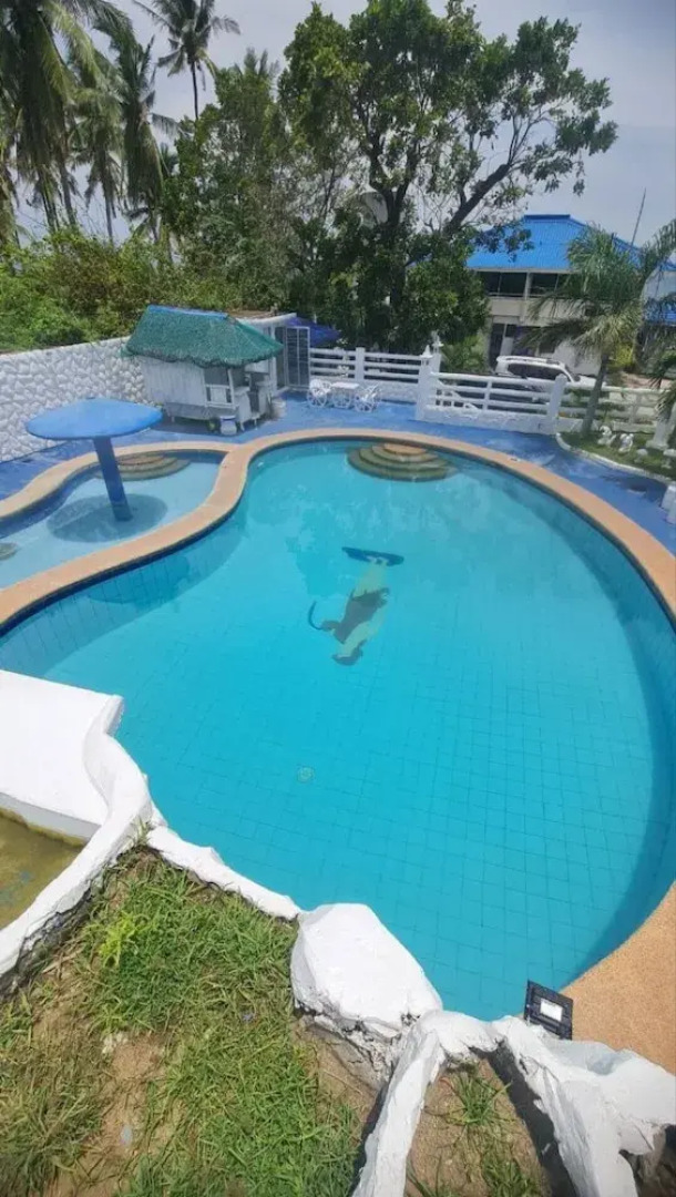 Stunning Villa House in Balayan Batangas With Private Pool and Ocean Views
