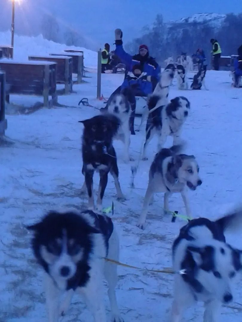 Haugetuft Apartments