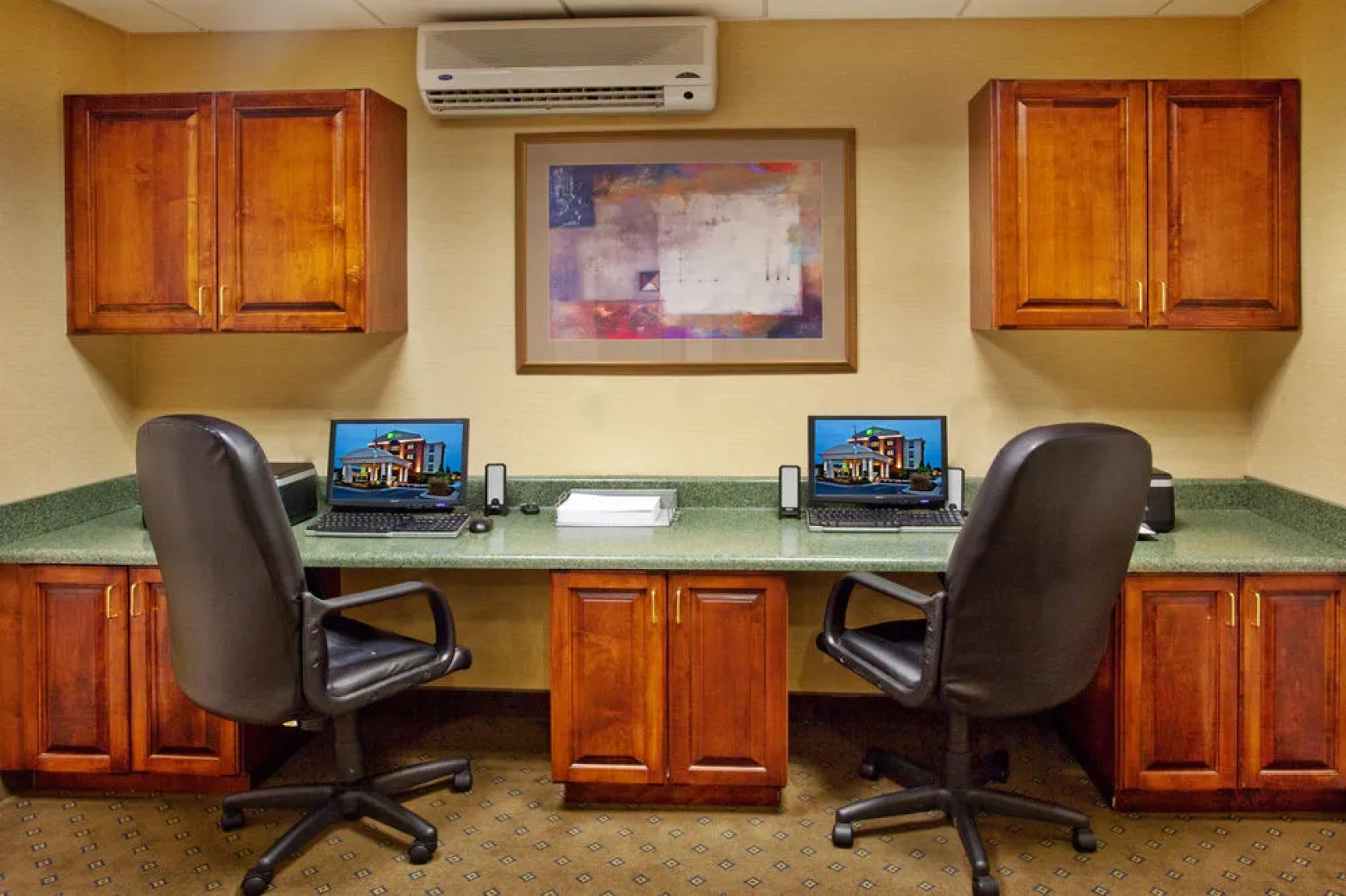 Holiday Inn Express Hotel & Suites MCDONOUGH