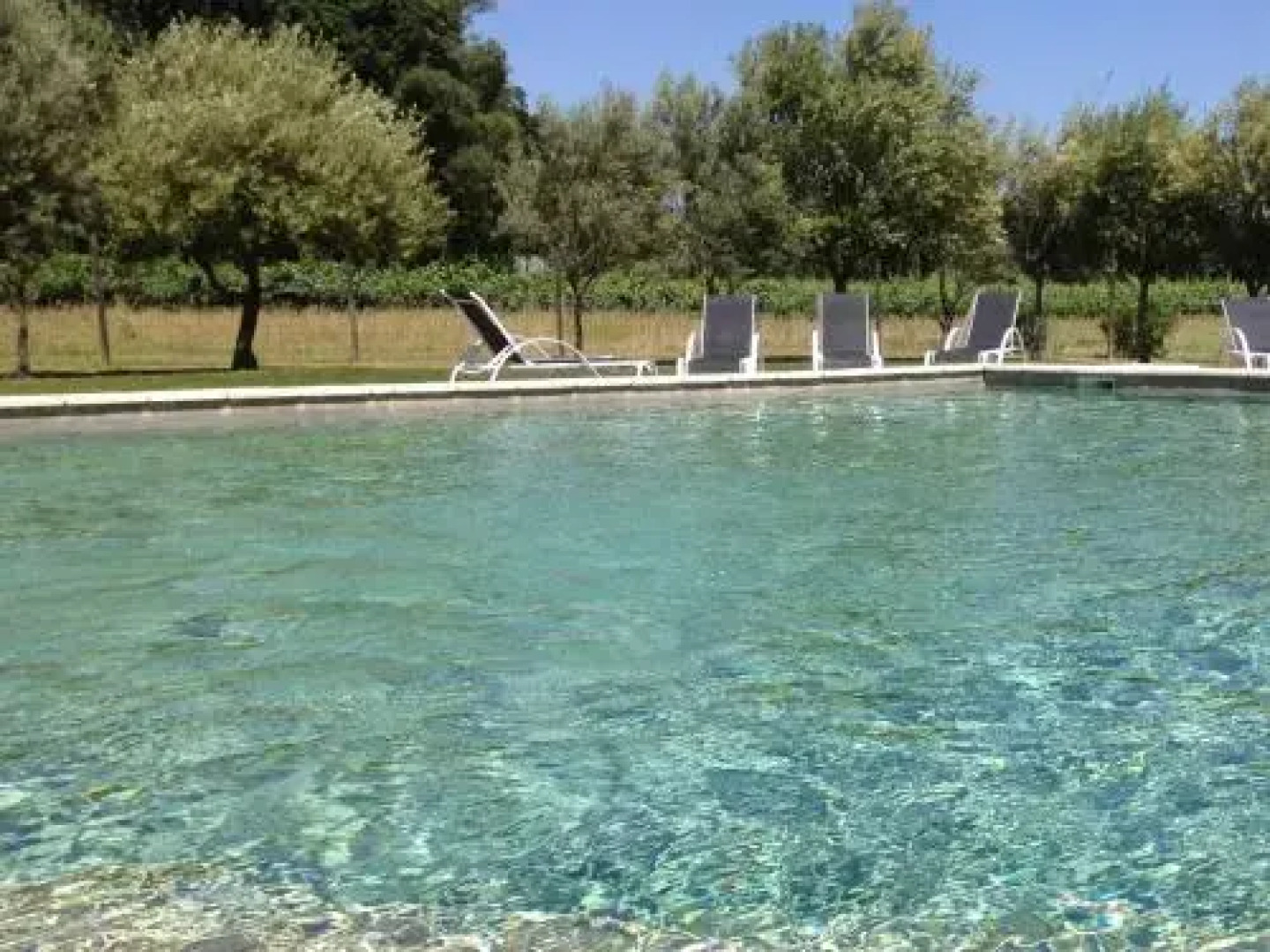 Château de Jonquières - Hérault