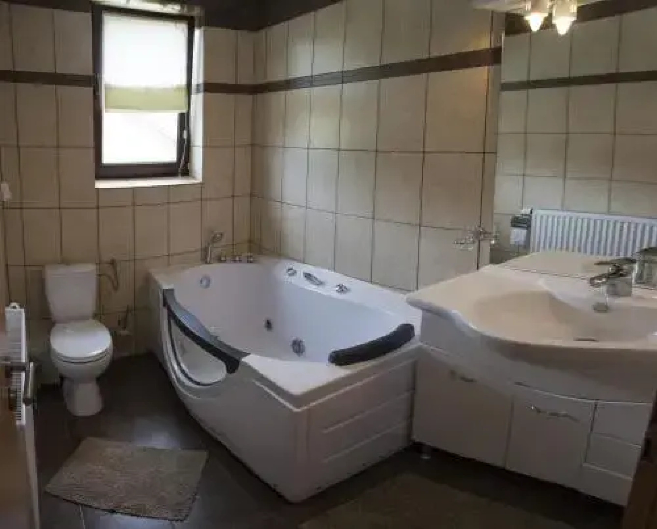 Pensiunea Rau Sadului