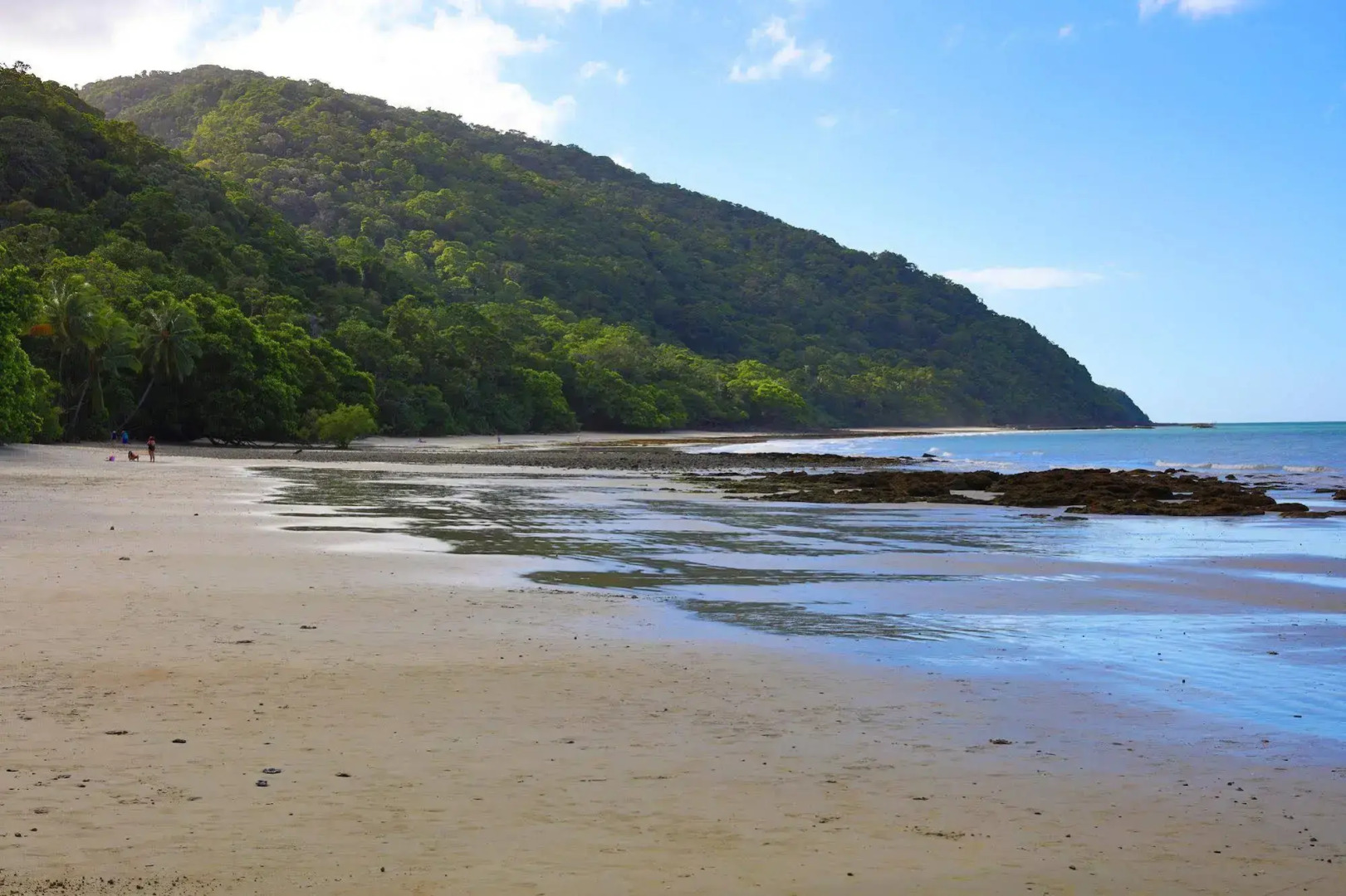 Cape Tribulation Beach House