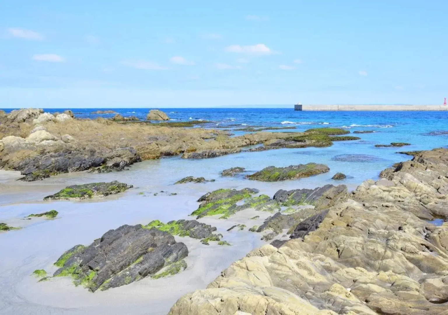 Yakushima Guesthouse Suginoko