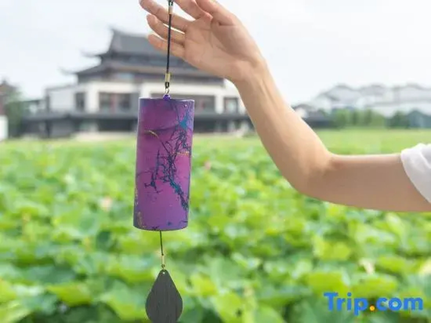 Song Hotel Wuxi Xuelang