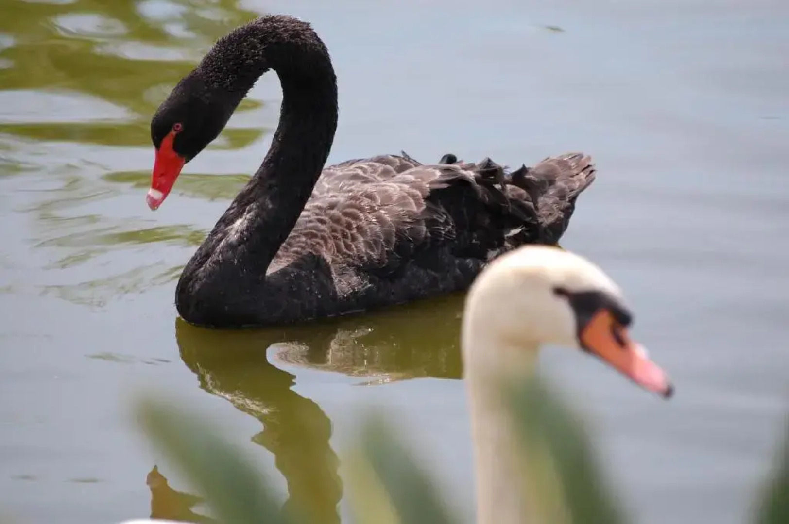 Chateau de la Clapiere