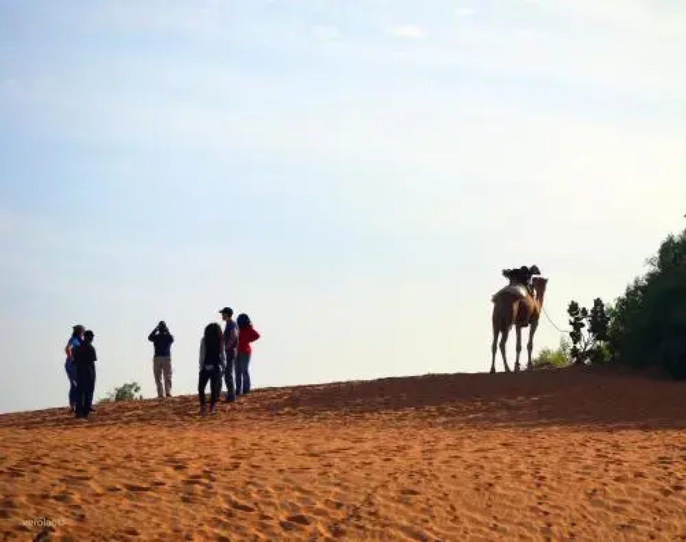 Camp Du Désert – Esprit d’Afrique