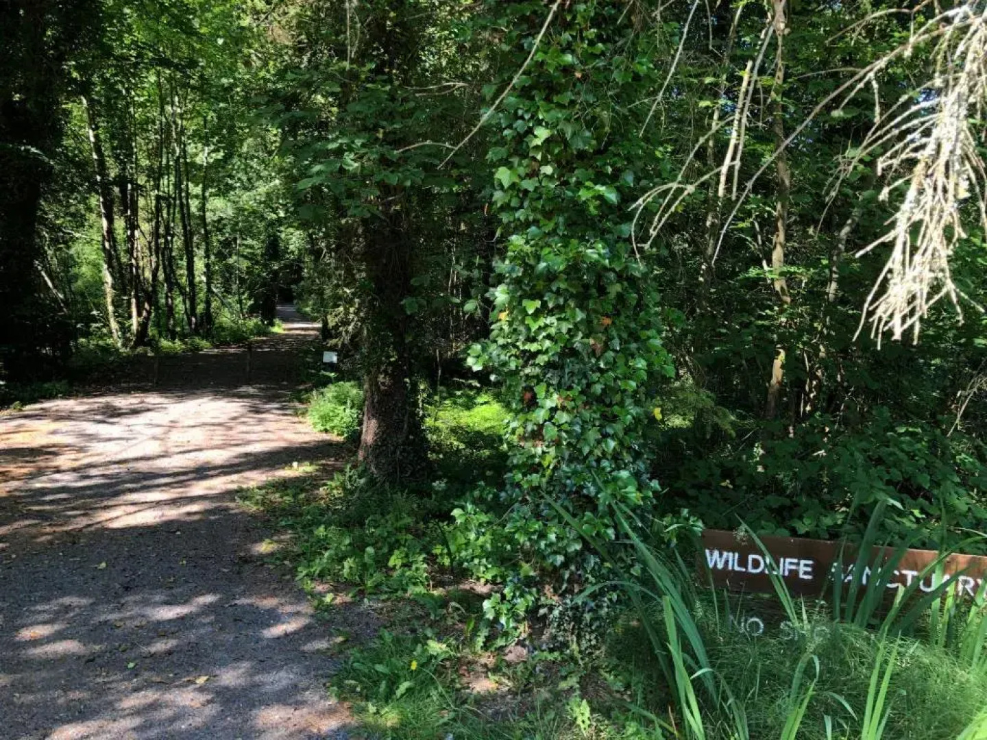 The North Lodge Kilronan