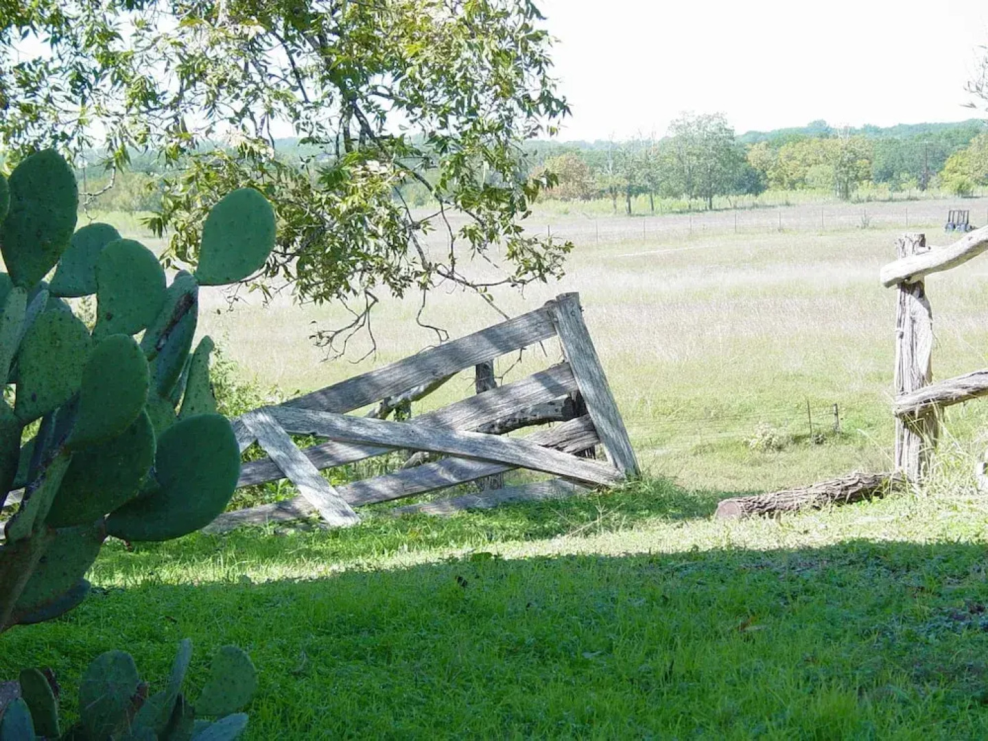 Back Forty of Fredericksburg