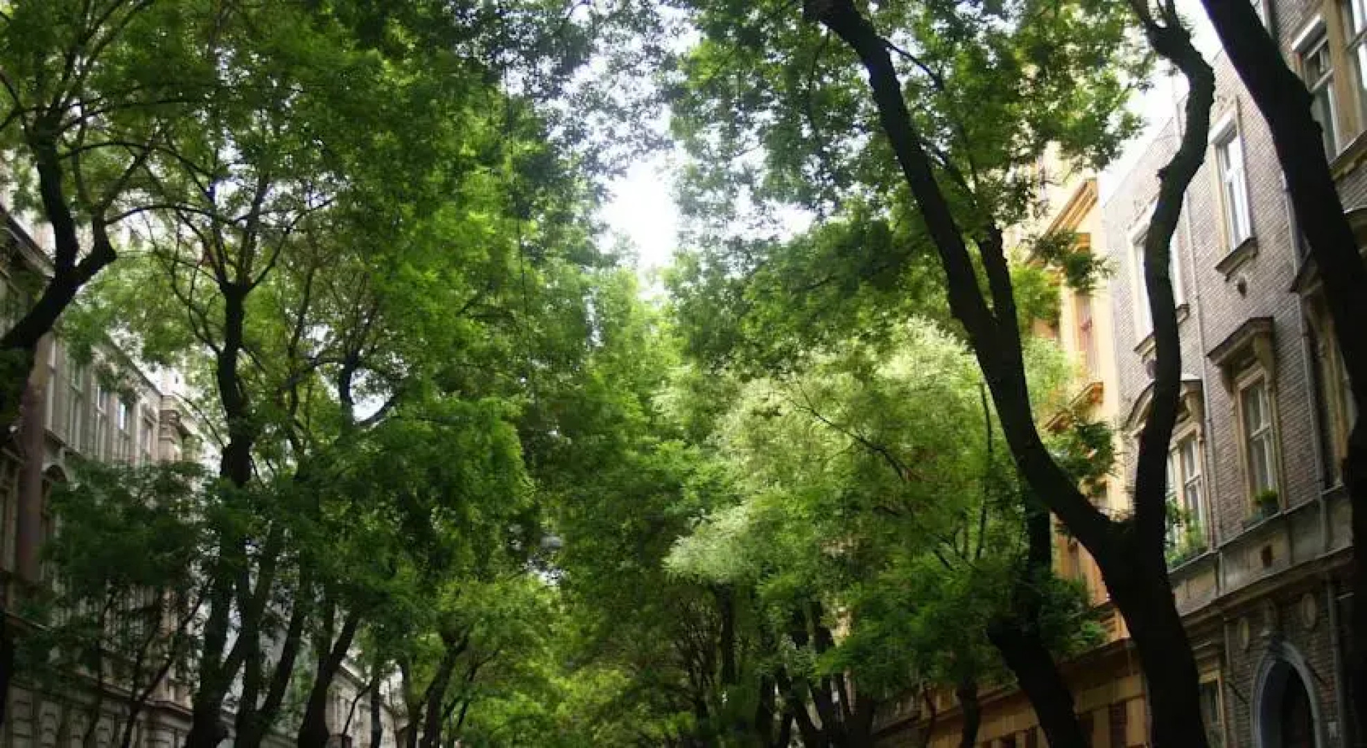 Romantic Garden Art Studio near Andrassy Avenue