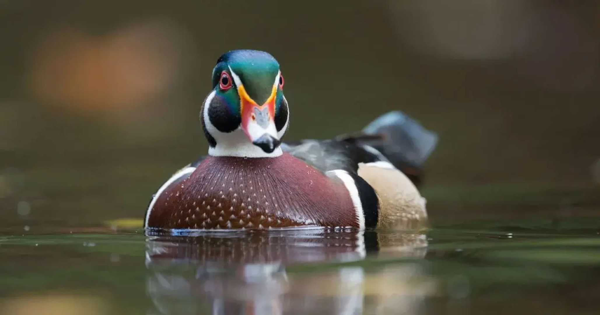 Magnuson Hotel Williamston