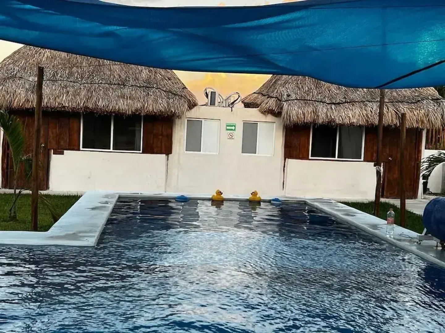 Paraiso Cocoyito Chelem 1