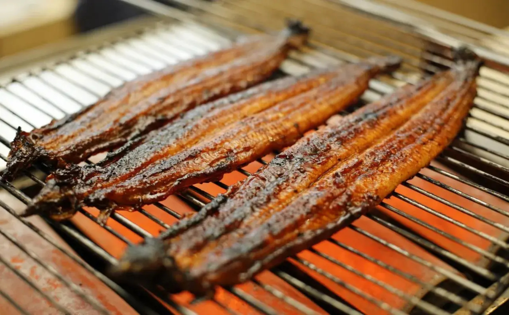 Hinotanionsen Misugi Resort