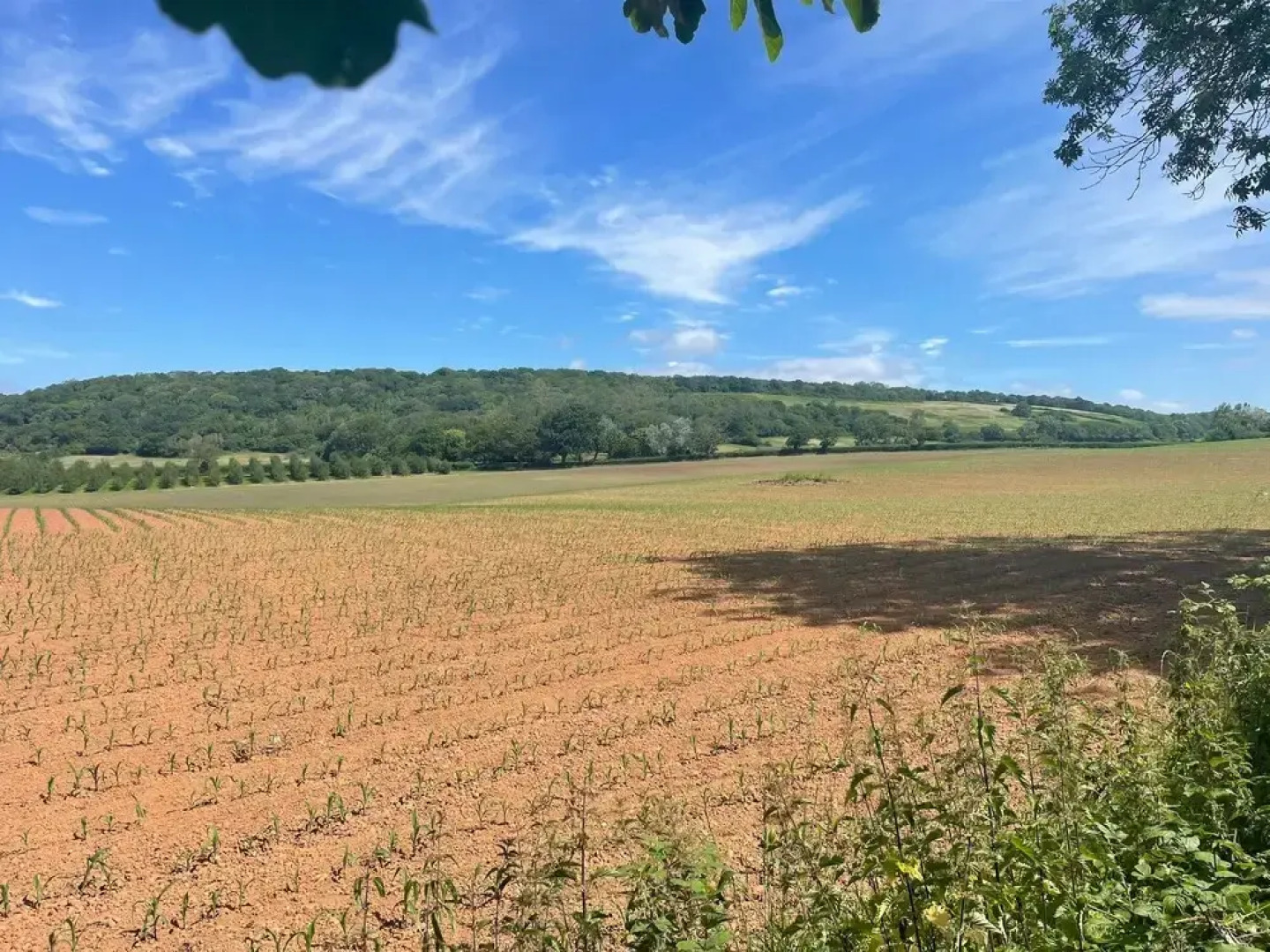 Relaxing Studio - Sauna - Luxe Bed - Pet-friendly