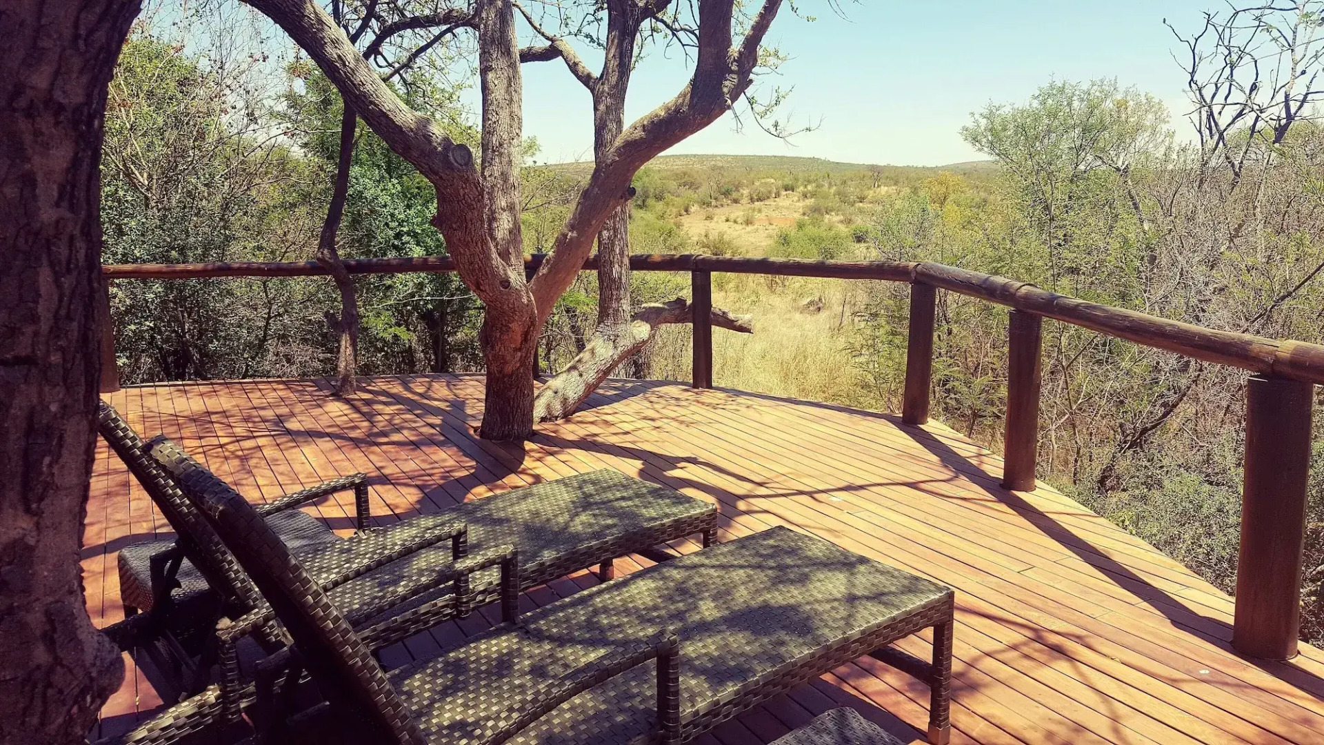 Motswiri Private Safari Lodge