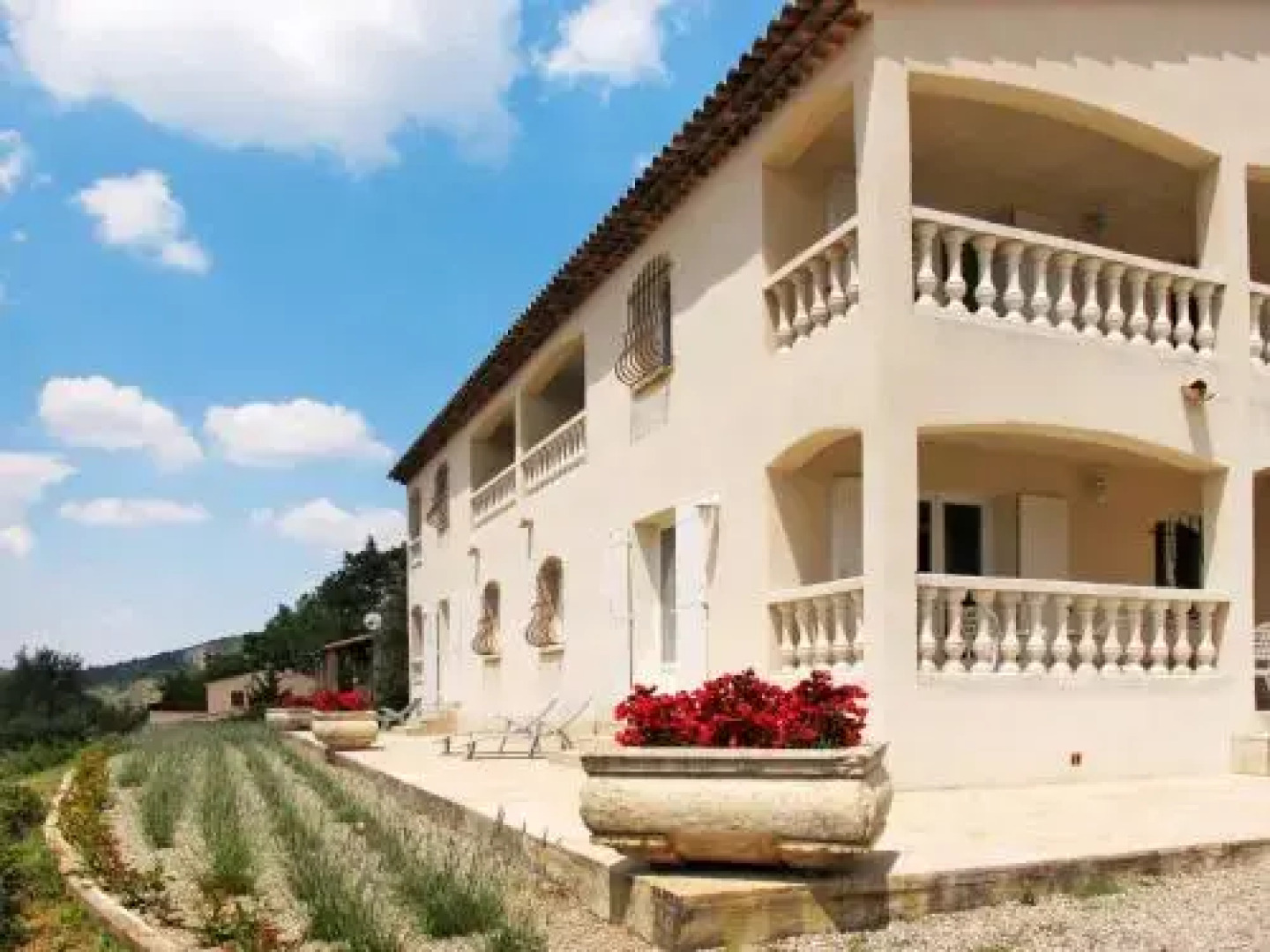 Campagne Les Oliviers 115S