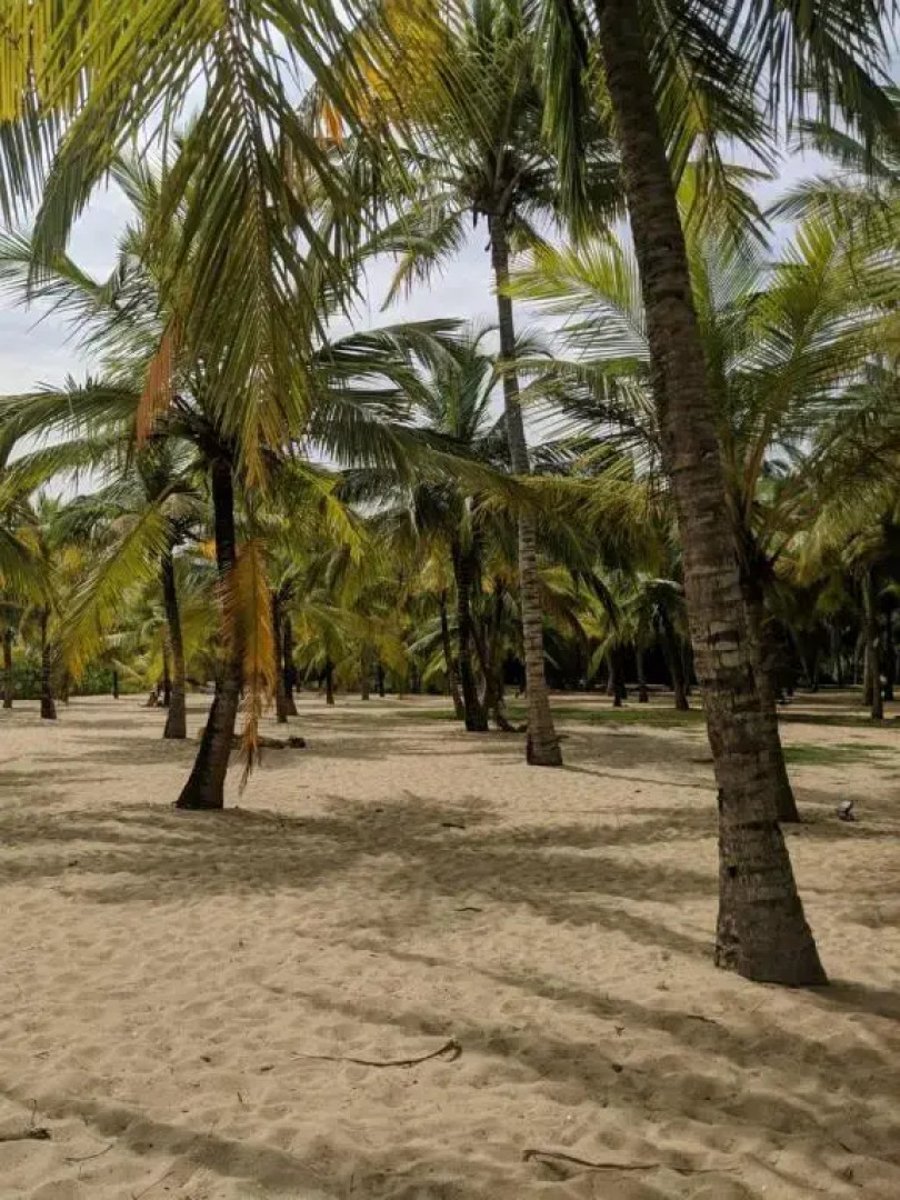 Little Sunshine Guest House & Restaurant