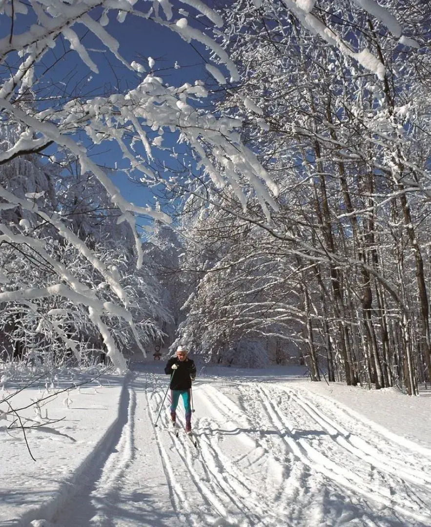 Hotelresort Reutmühle