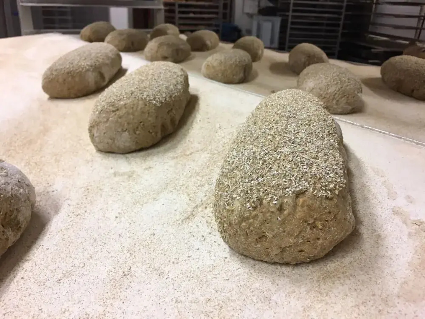 Campingplatz Bad Stuer