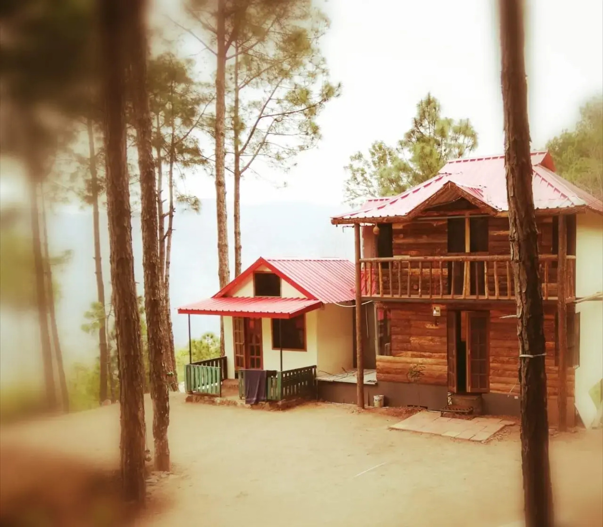 Pine Valley Resort - PVR Kasauli