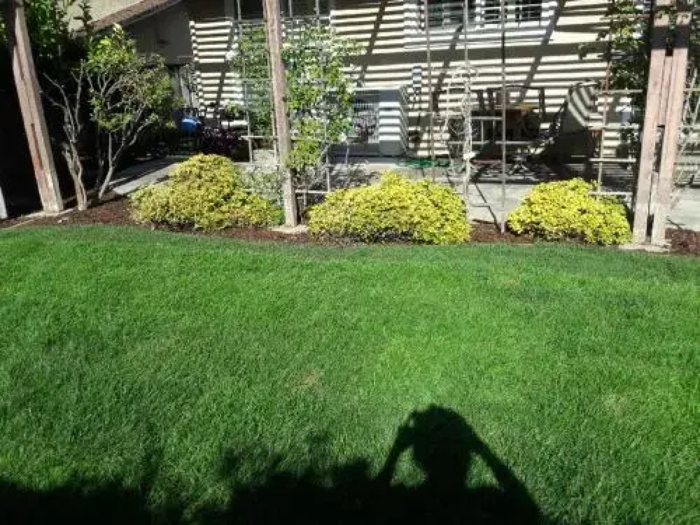 3 Private Rooms Near Apple + Free Organic Breakfast