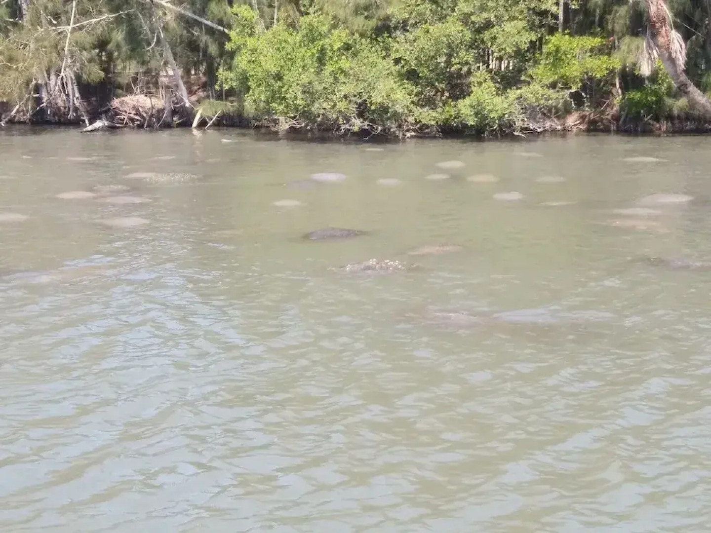 Sunrise Inn by OYO Titusville FL