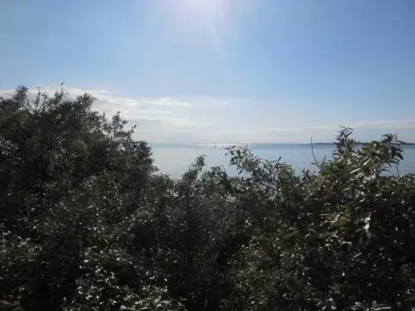 Roter Bungalow am Strand _50m_ _ O