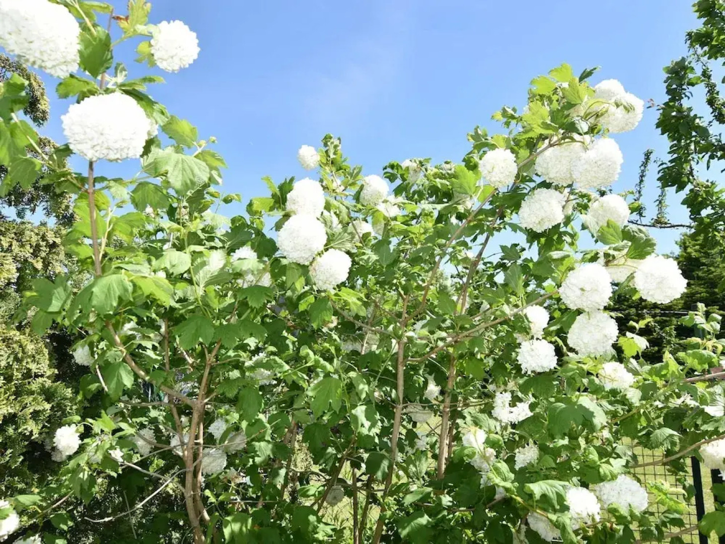 Quaint Bungalow in Stove near the Beach