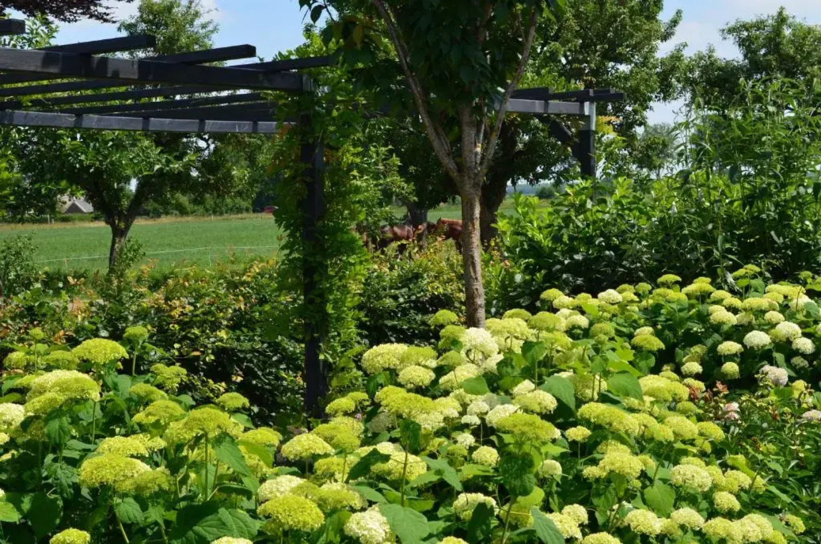 B&B “de Boerlarij”