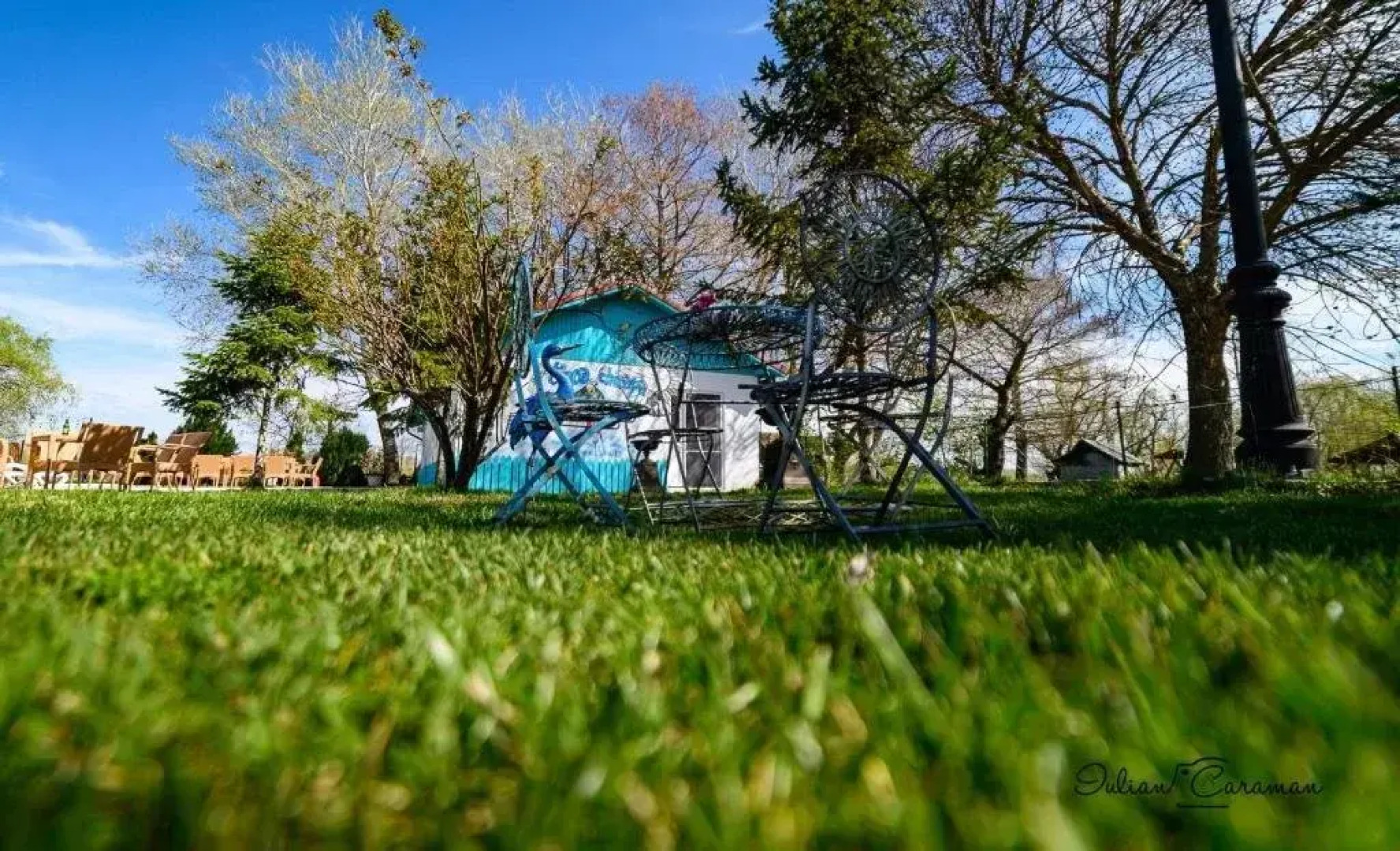 Stiuca Schioapa Baltenii de Sus