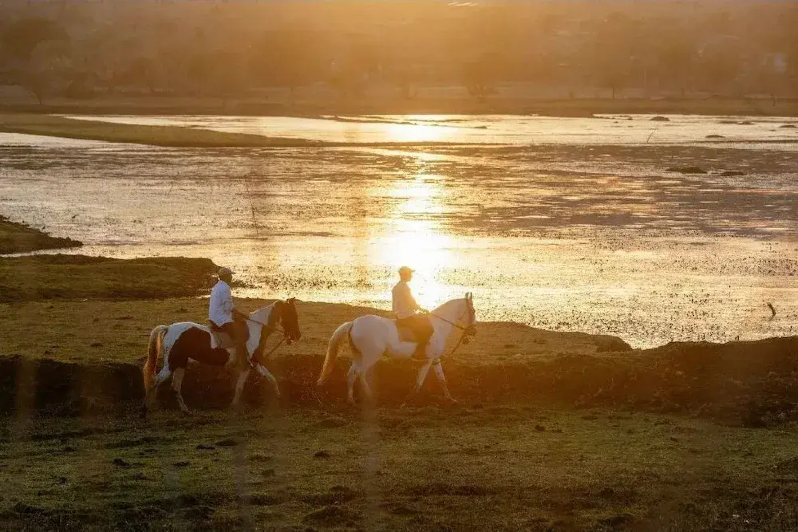 Hotel Castle Bijaipur