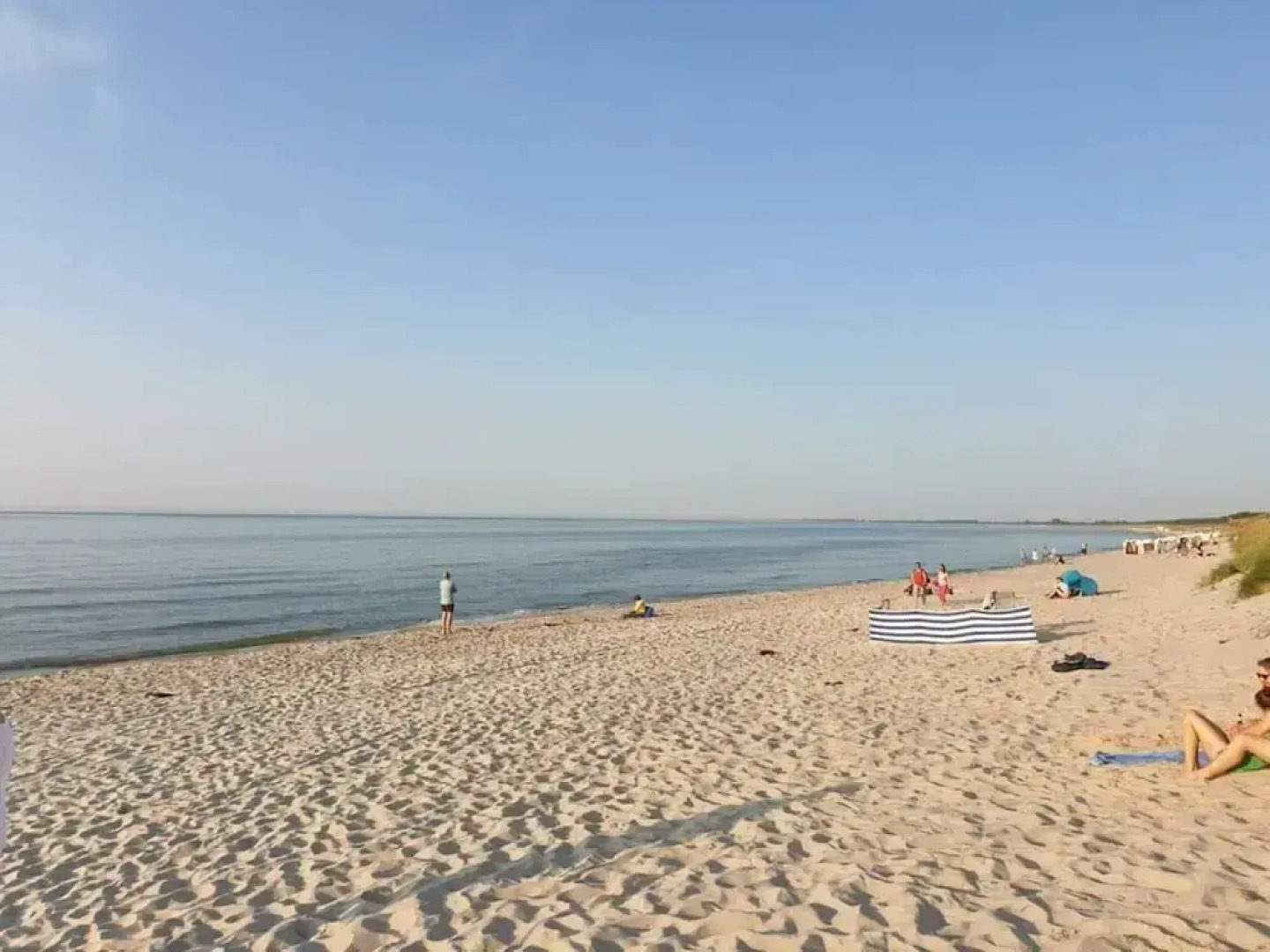 Herring Gull Modern Retreat