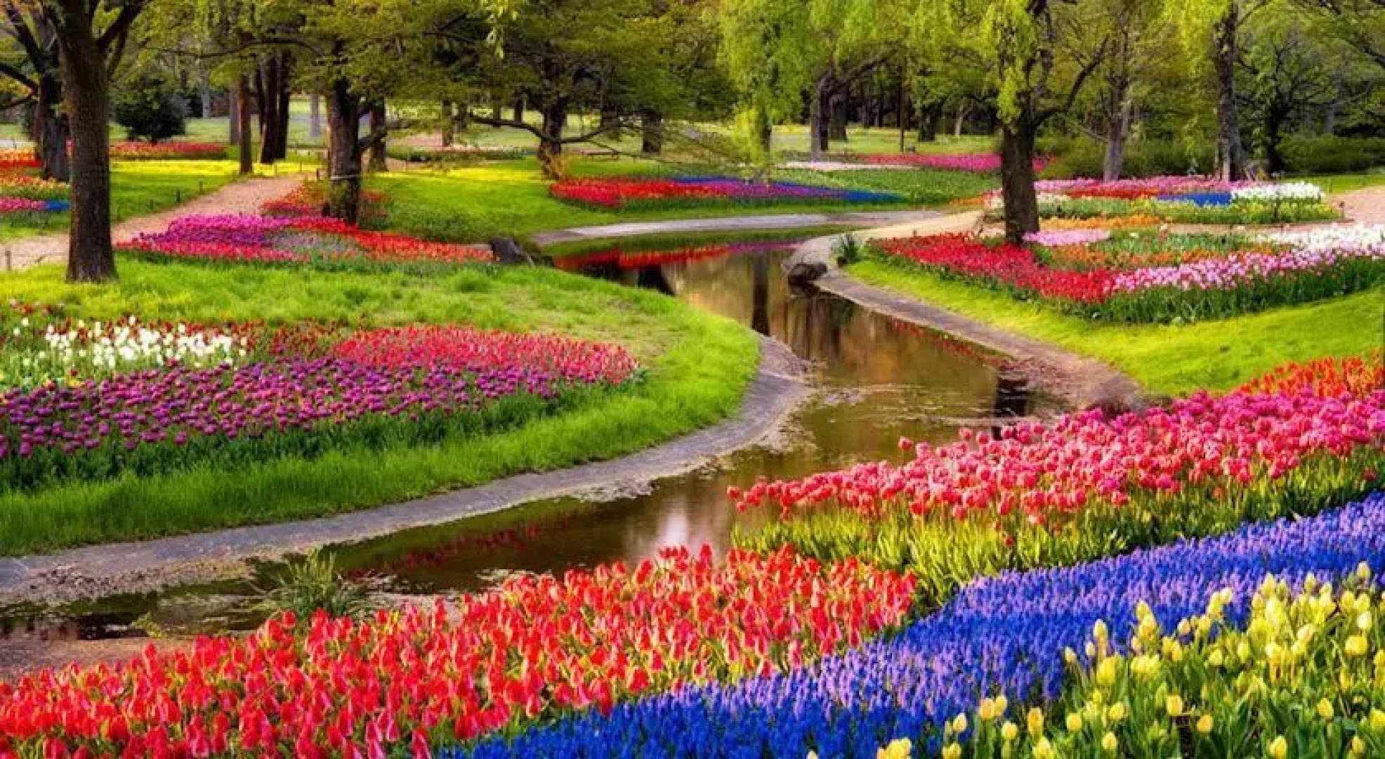 Baymont Inn & Suites