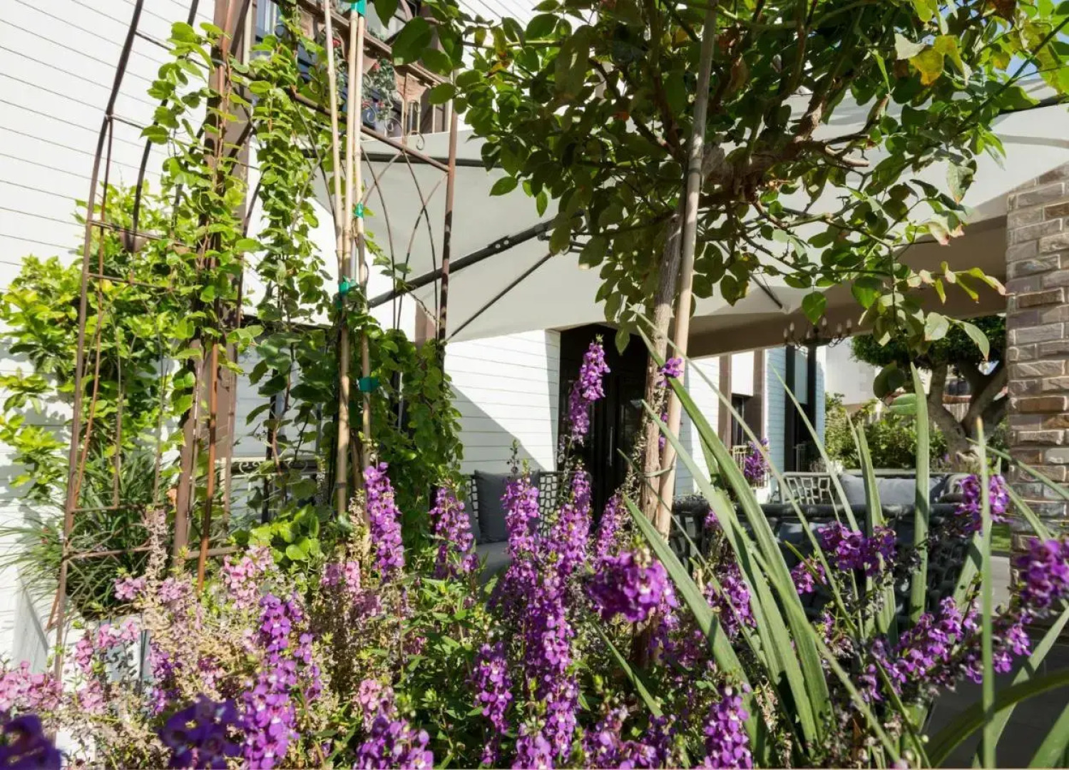 Shtarkman Erna Hotel