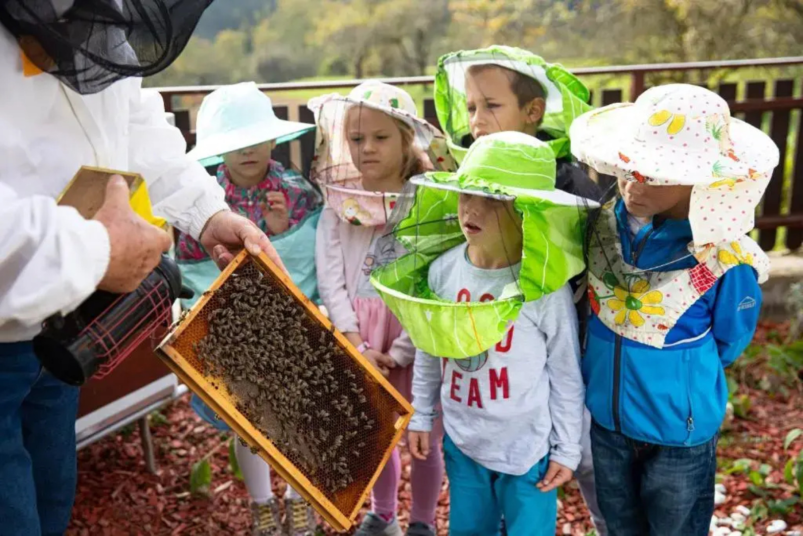 Hotel Zdravilisce Lasko