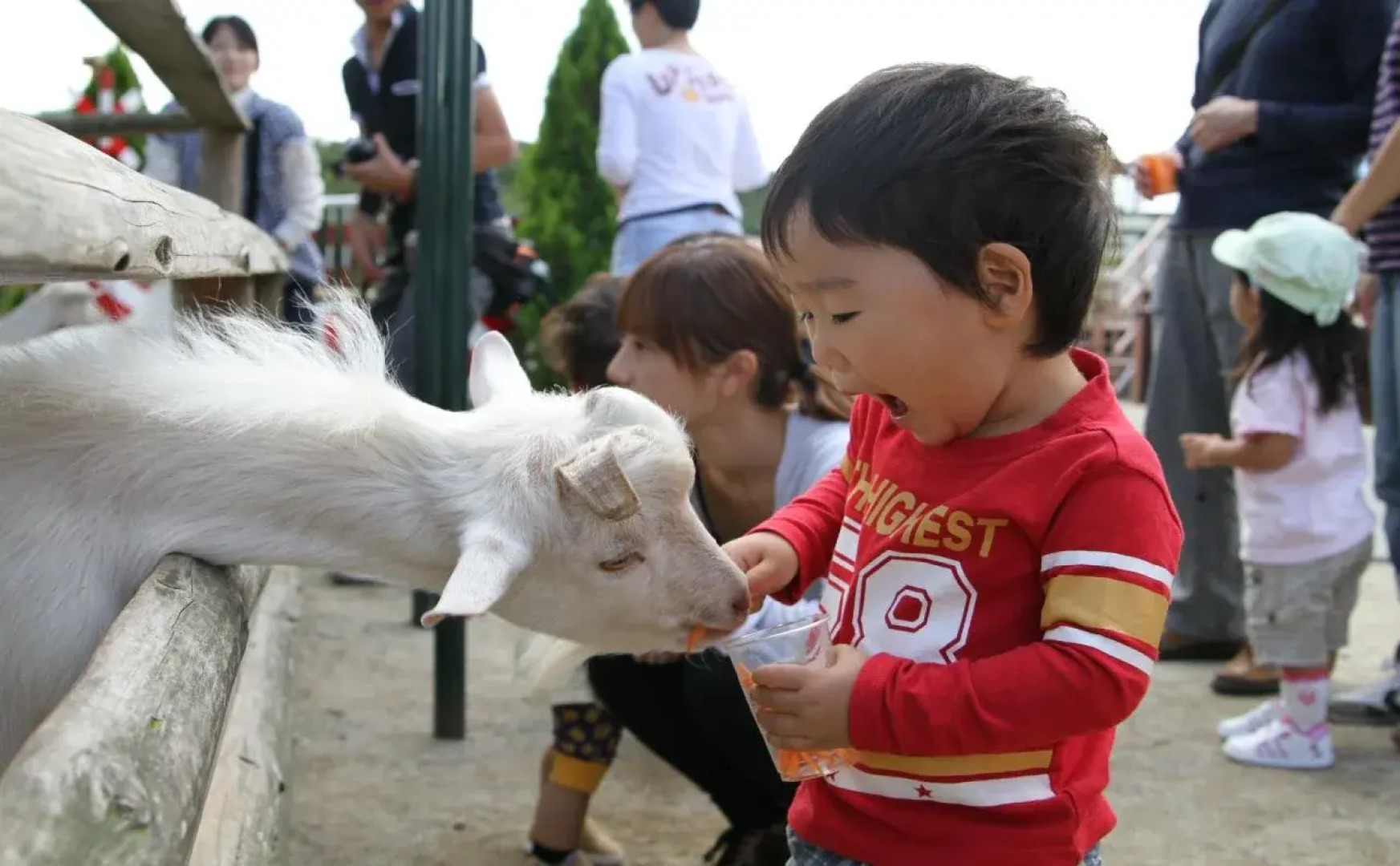Grand Mercure Nasu Highlands Resort & Spa