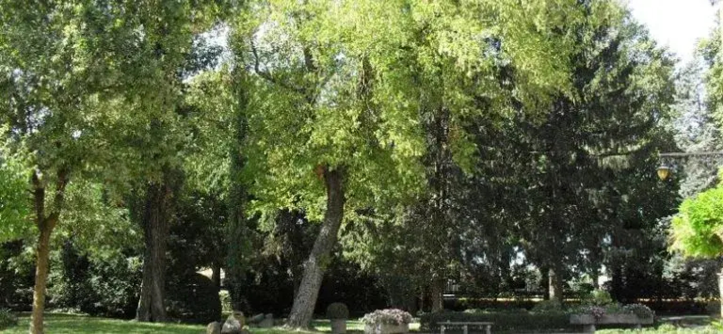 Dimora Della Gran Farnia