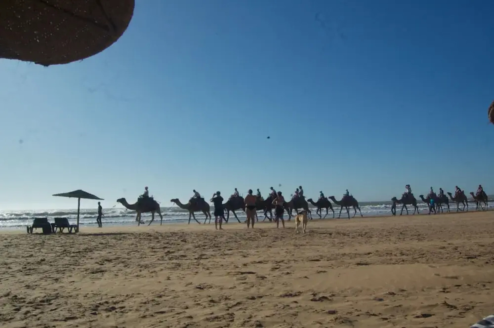 Essaouira Youth Hostel & Social Travel