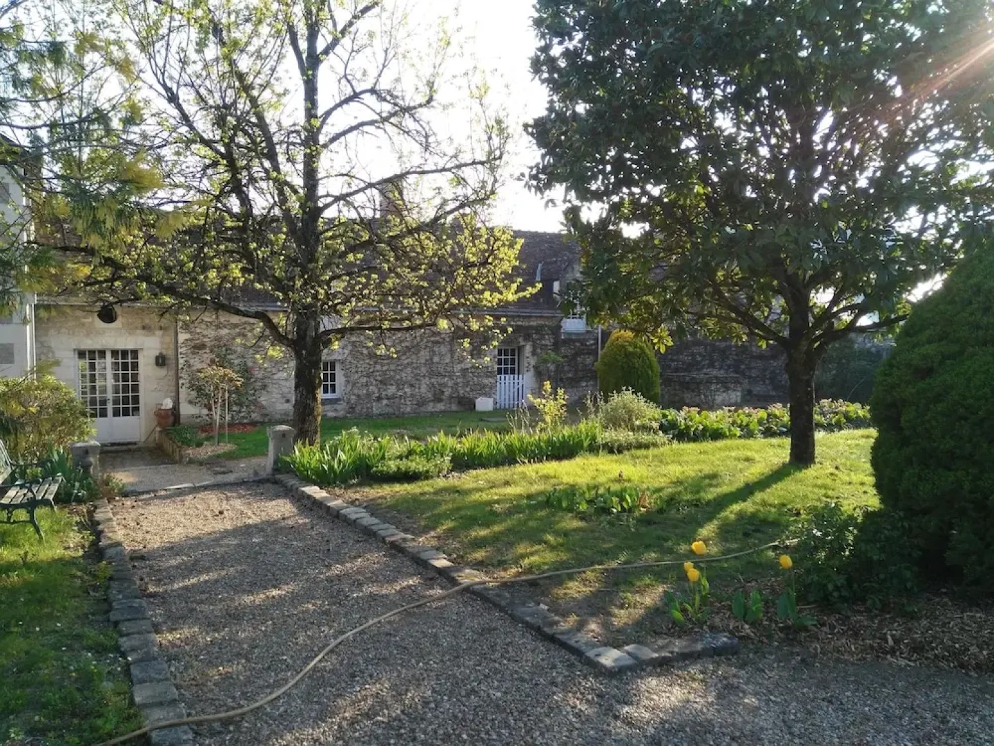 Les Camélias des Demoiselles de Pallus