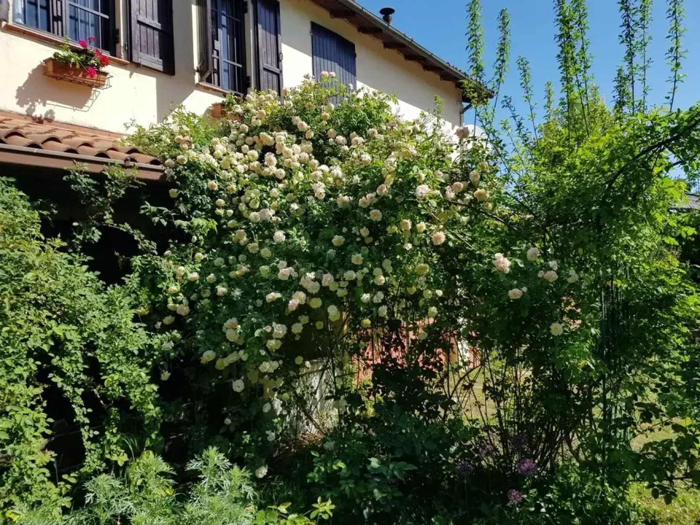 The Bloomsbury Writers House